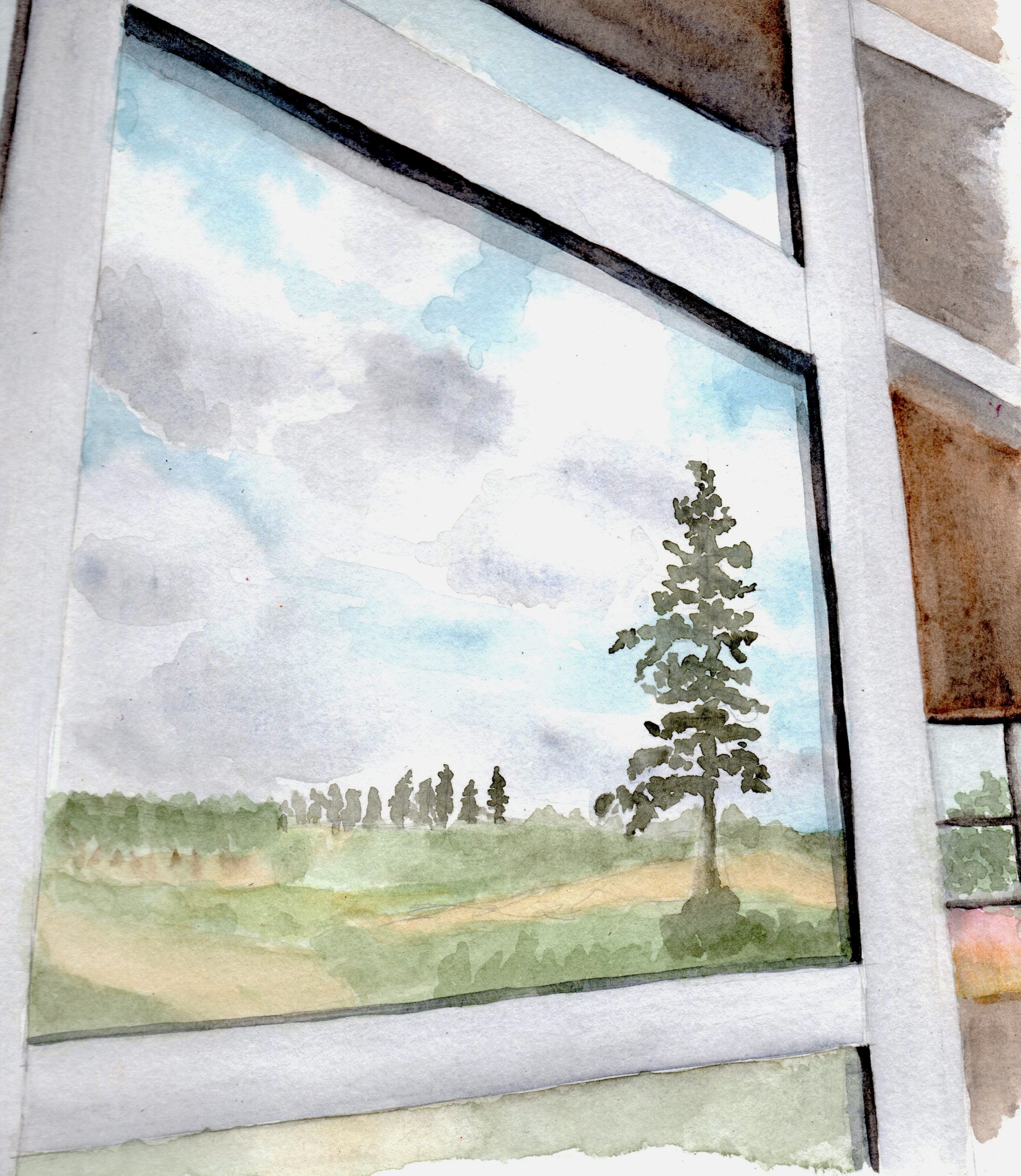 Vineyard Reflection, from a winery outside of Portland, OR