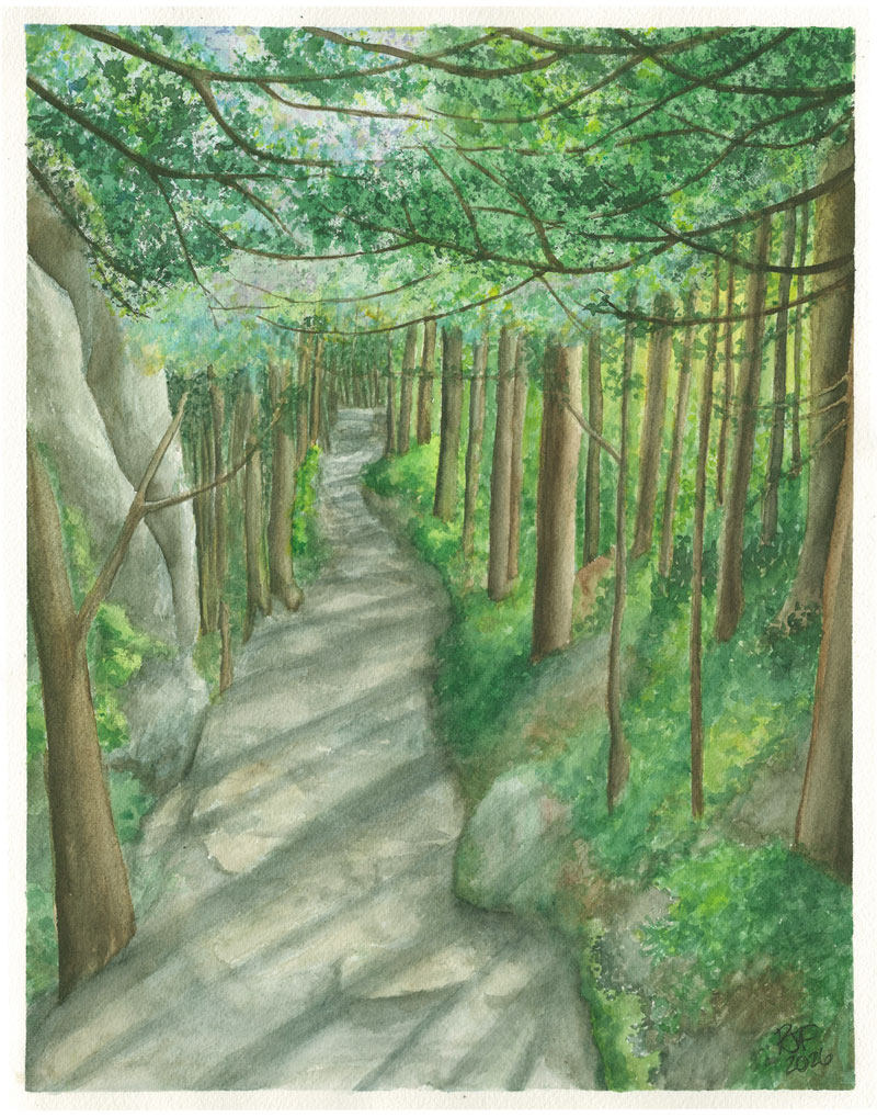 A serene forest scene depicting a winding pathway amidst tall trees, with dappled sunlight filtering through the leaves.